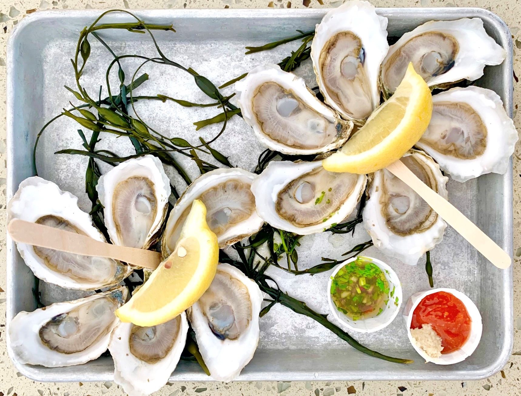 Fresh Oysters